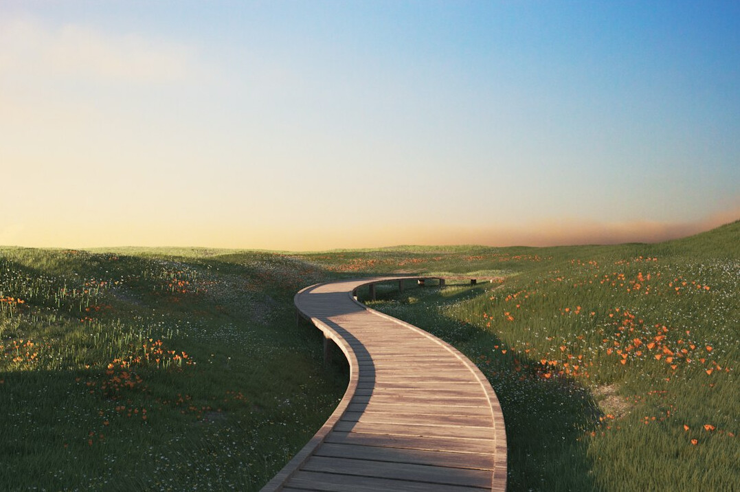 it career path