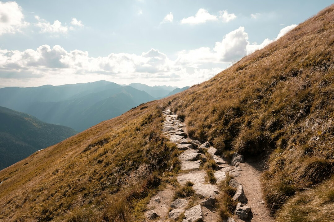 it career path